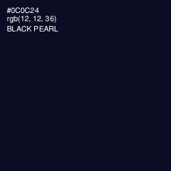 #0C0C24 - Black Pearl Color Image